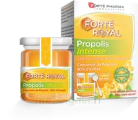 Forte Pharma Propolis Intense Gelée Pot/40g à BOURG-SAINT-MAURICE